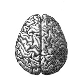 Herpes Enzephalitis